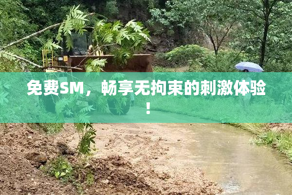 免费SM，畅享无拘束的刺激体验！