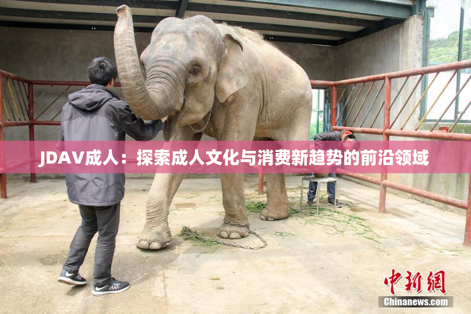 JDAV成人：探索成人文化与消费新趋势的前沿领域