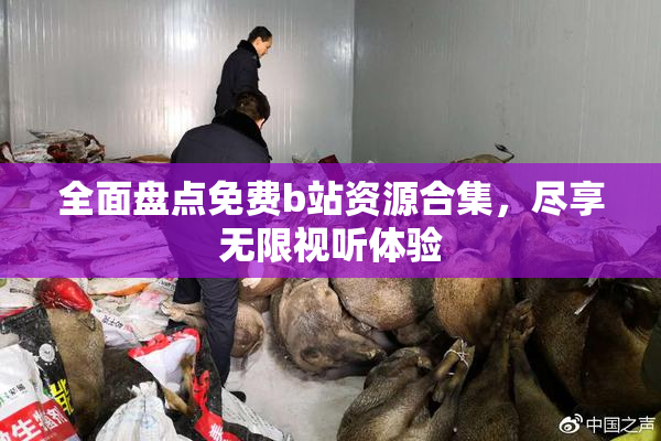 全面盘点免费b站资源合集，尽享无限视听体验