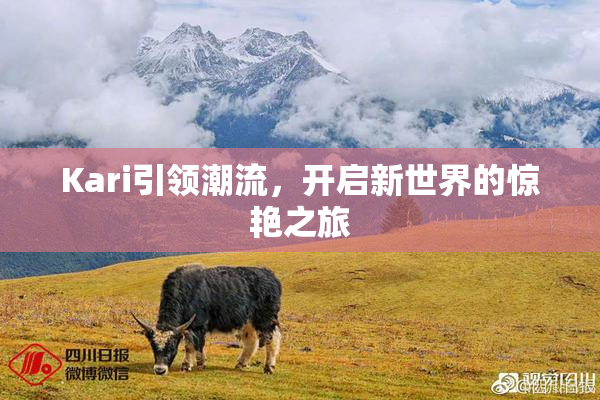 Kari引领潮流，开启新世界的惊艳之旅