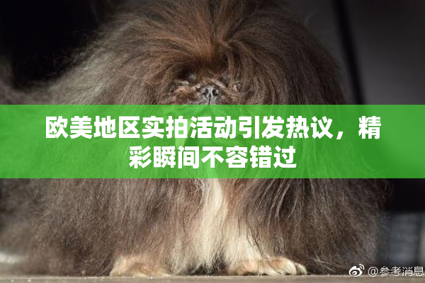欧美地区实拍活动引发热议，精彩瞬间不容错过