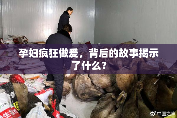 孕妇疯狂做爰，背后的故事揭示了什么？