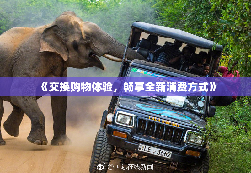 《交换购物体验，畅享全新消费方式》