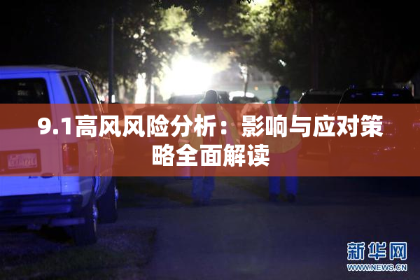 9.1高风风险分析：影响与应对策略全面解读