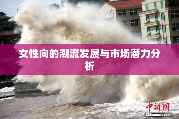 女性向的潮流发展与市场潜力分析
