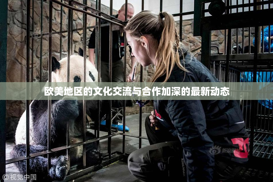 欧美地区的文化交流与合作加深的最新动态