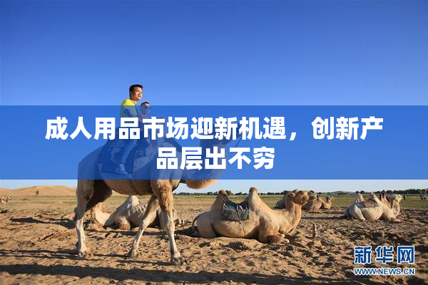 成人用品市场迎新机遇，创新产品层出不穷