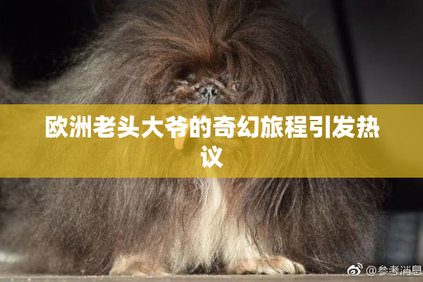 欧洲老头大爷的奇幻旅程引发热议