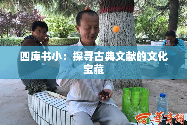 四库书小：探寻古典文献的文化宝藏
