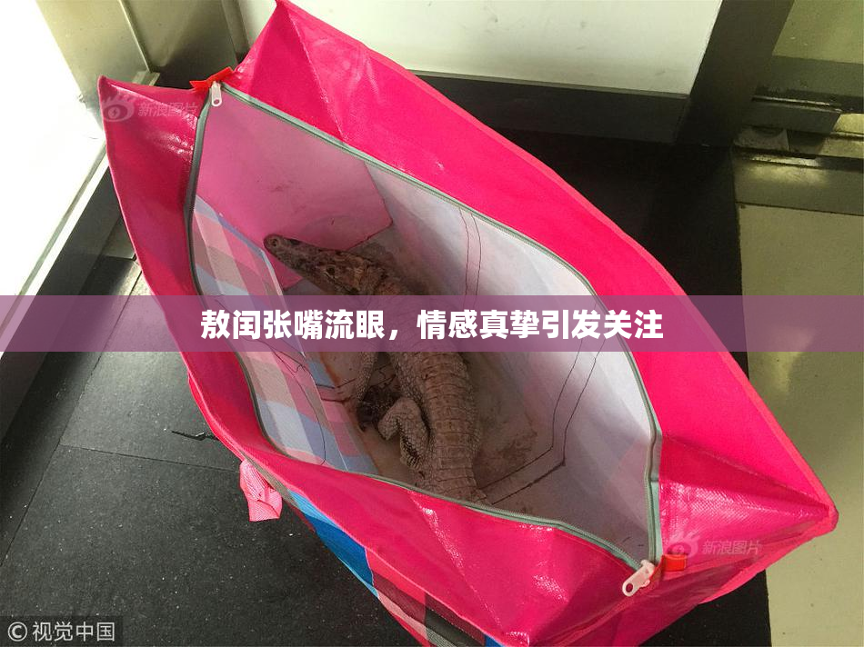敖闰张嘴流眼，情感真挚引发关注