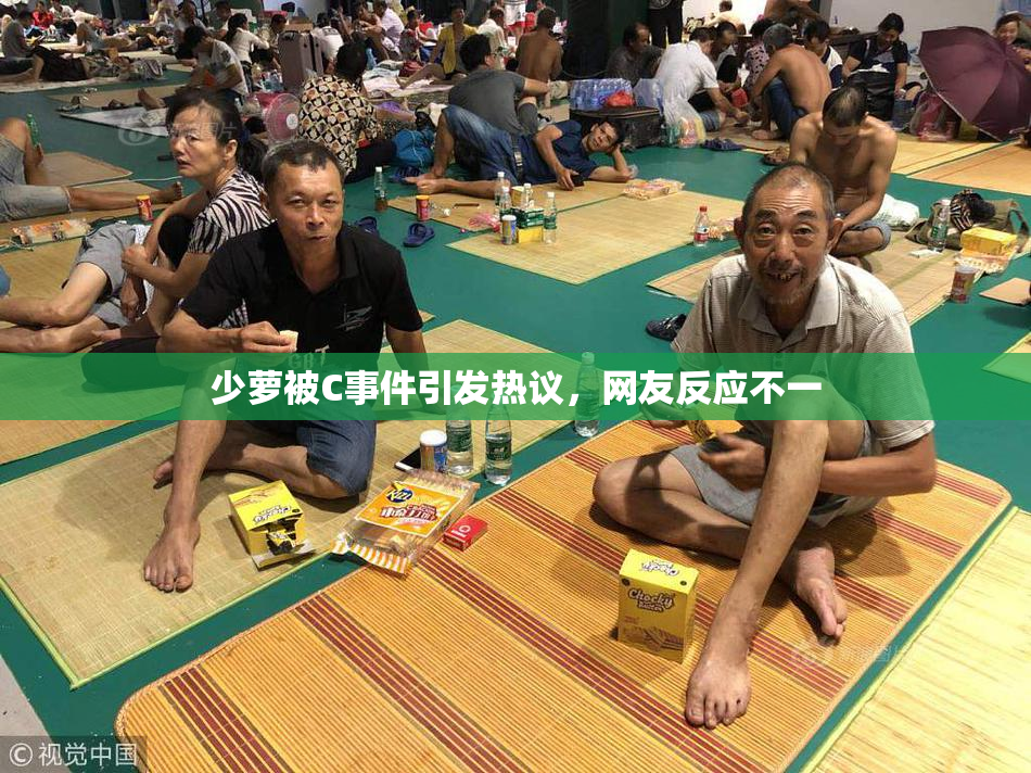 少萝被C事件引发热议，网友反应不一