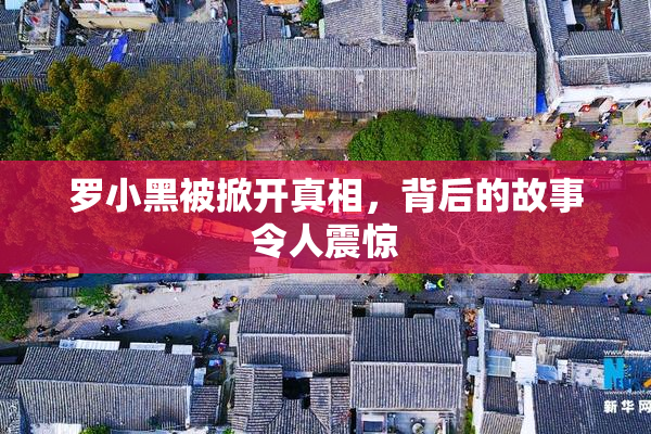 罗小黑被掀开真相，背后的故事令人震惊