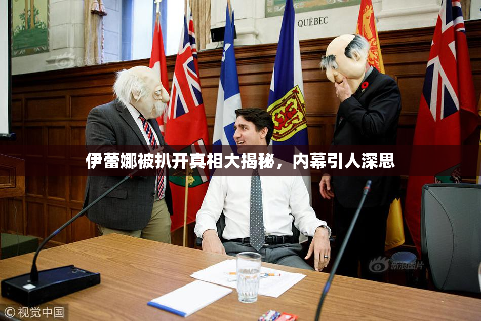 伊蕾娜被扒开真相大揭秘，内幕引人深思