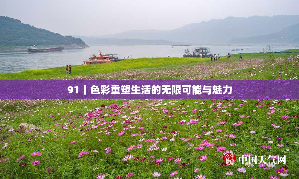91丨色彩重塑生活的无限可能与魅力