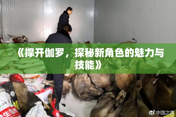 《撑开伽罗，探秘新角色的魅力与技能》