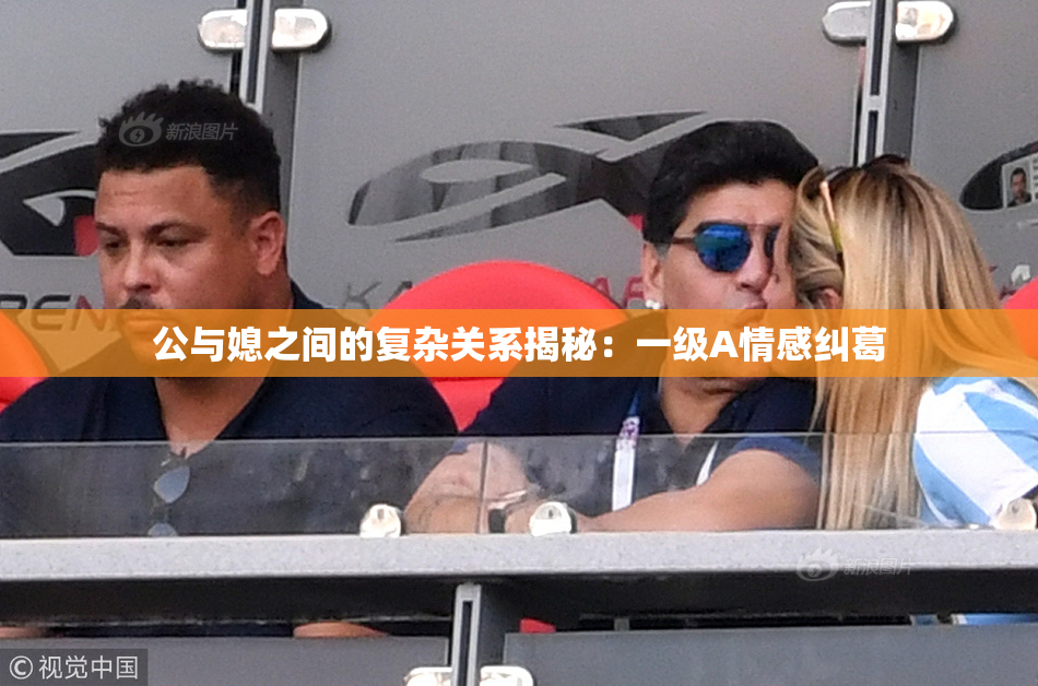 公与媳之间的复杂关系揭秘：一级A情感纠葛