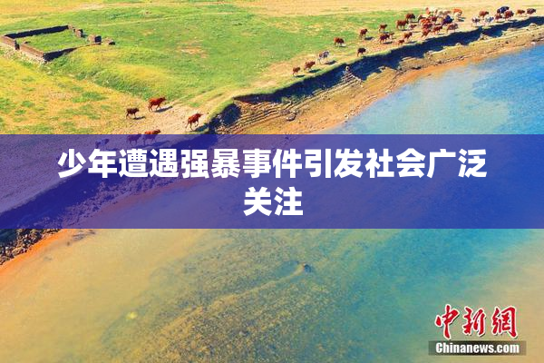 少年遭遇强暴事件引发社会广泛关注