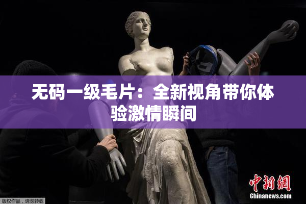 无码一级毛片：全新视角带你体验激情瞬间