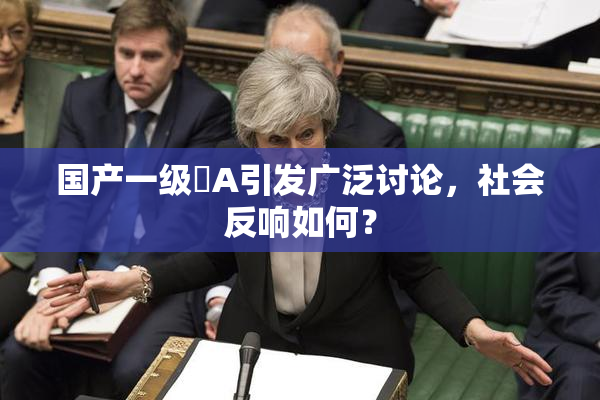 国产一级婬A引发广泛讨论，社会反响如何？