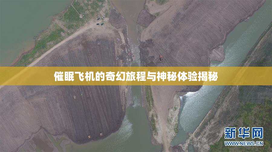 催眠飞机的奇幻旅程与神秘体验揭秘