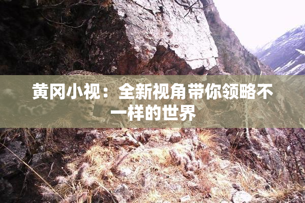 黄冈小视：全新视角带你领略不一样的世界