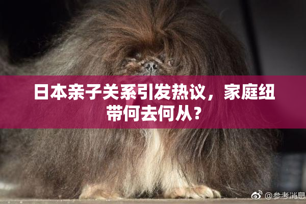 日本亲子关系引发热议，家庭纽带何去何从？