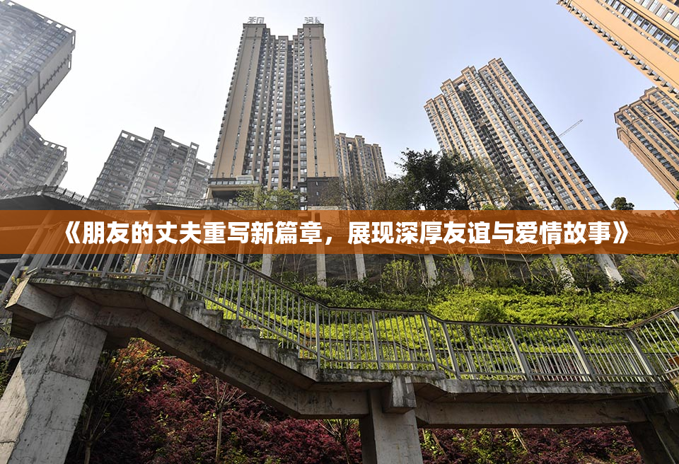 《朋友的丈夫重写新篇章，展现深厚友谊与爱情故事》