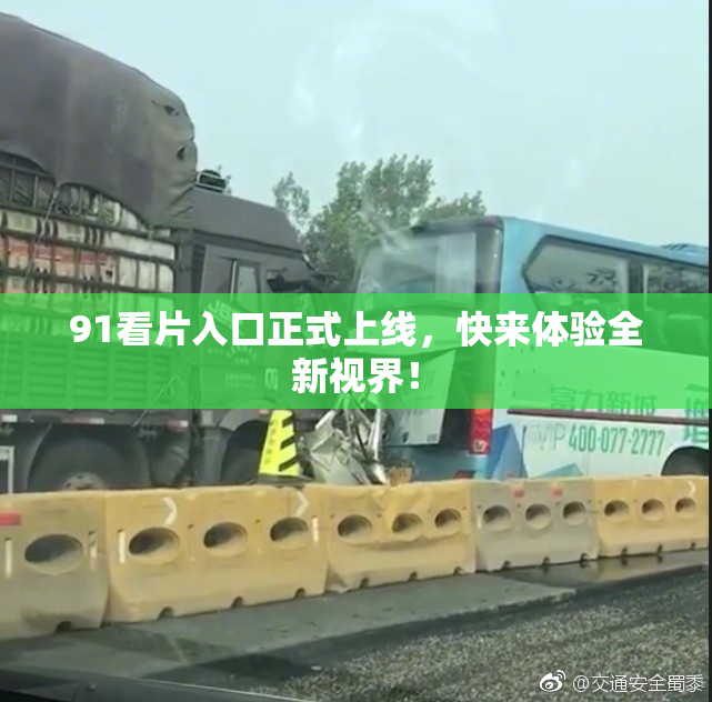 91看片入口正式上线，快来体验全新视界！