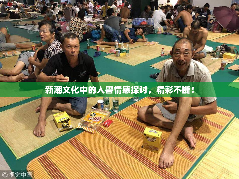 新潮文化中的人兽情感探讨，精彩不断！