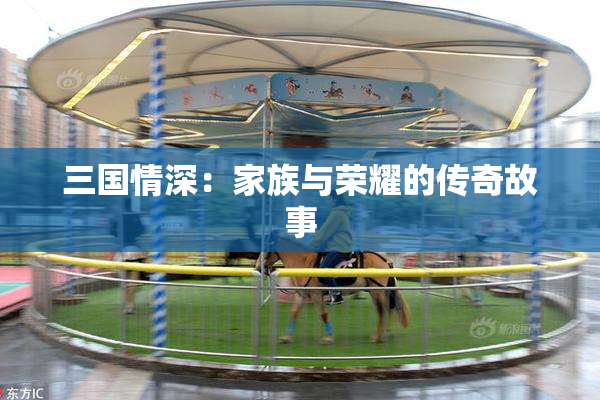 三国情深：家族与荣耀的传奇故事
