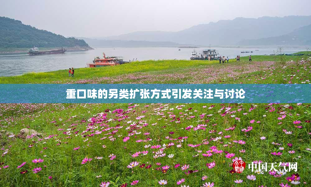 重口味的另类扩张方式引发关注与讨论
