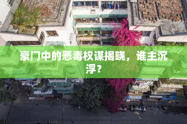 豪门中的恶毒权谋揭晓，谁主沉浮？