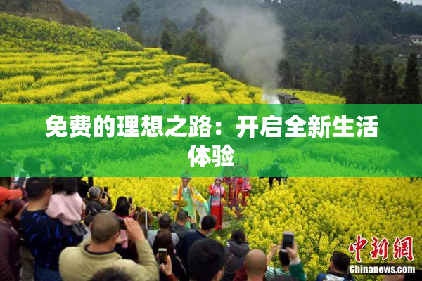 免费的理想之路：开启全新生活体验