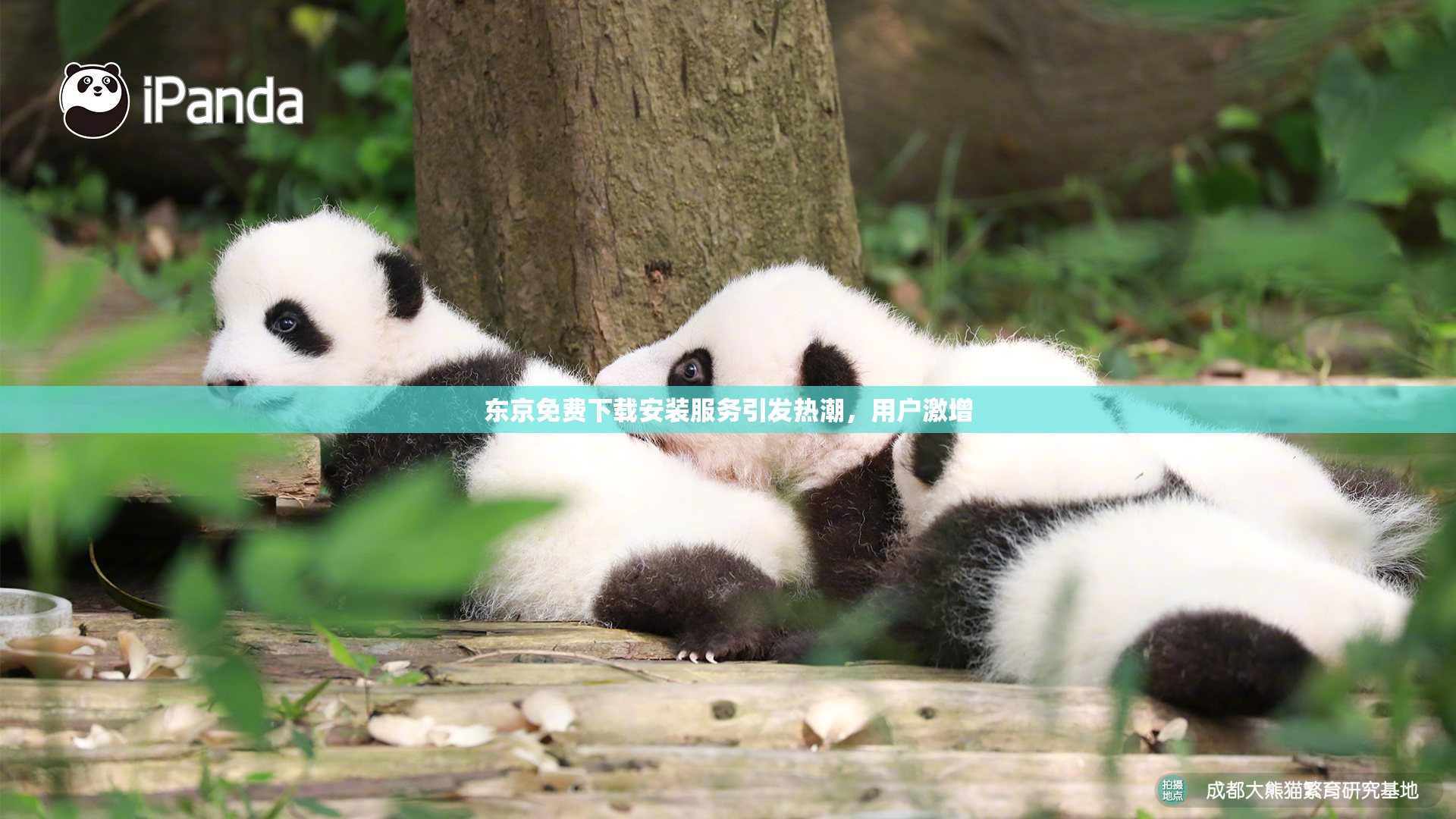 东京免费下载安装服务引发热潮，用户激增