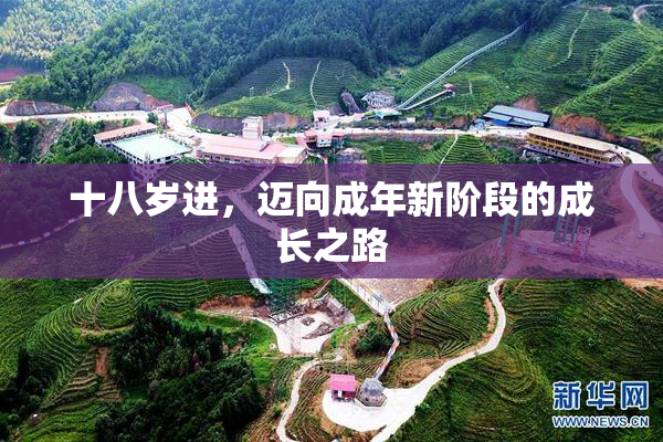 十八岁进，迈向成年新阶段的成长之路