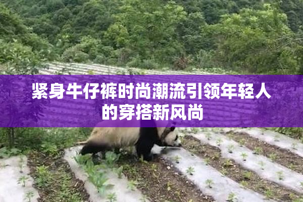 紧身牛仔裤时尚潮流引领年轻人的穿搭新风尚