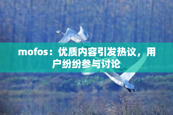 mofos：优质内容引发热议，用户纷纷参与讨论