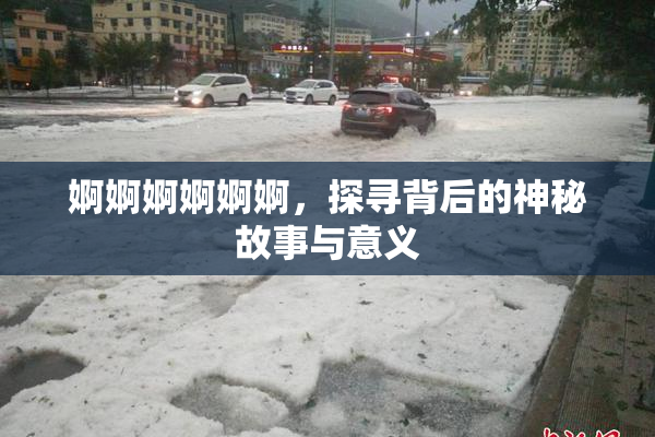 婀婀婀婀婀婀，探寻背后的神秘故事与意义