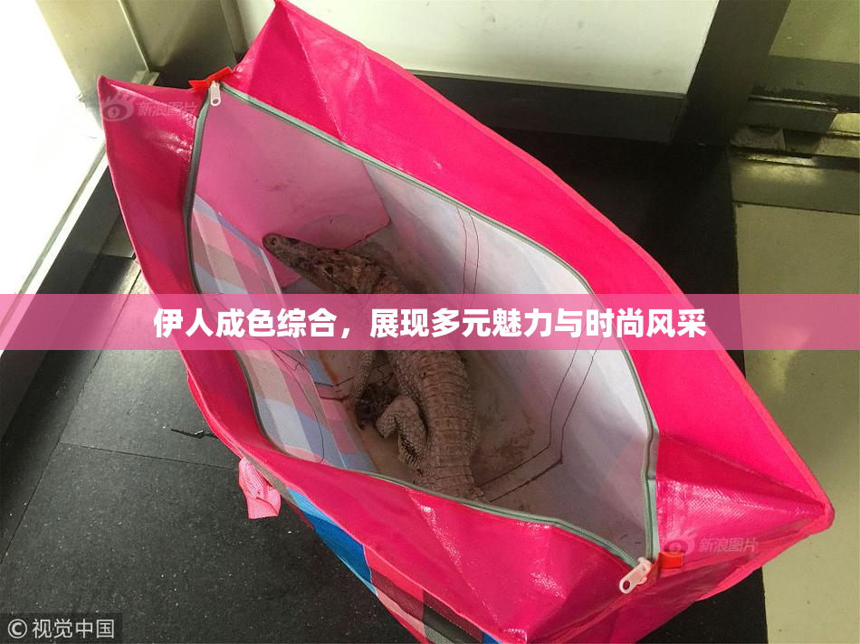 伊人成色综合，展现多元魅力与时尚风采