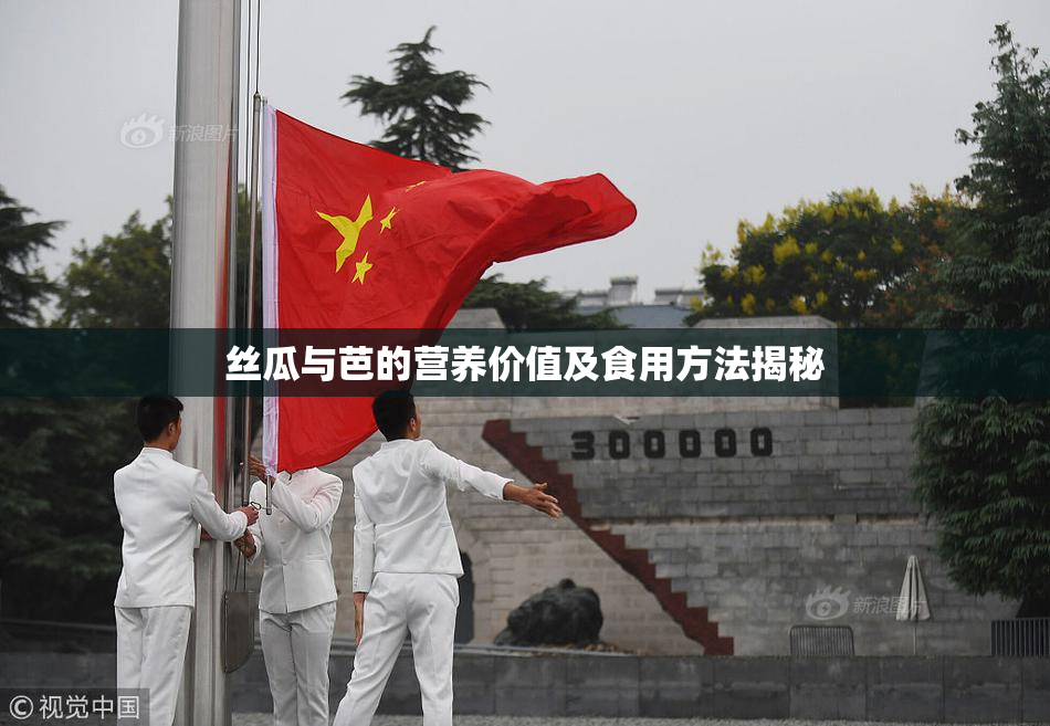 丝瓜与芭的营养价值及食用方法揭秘
