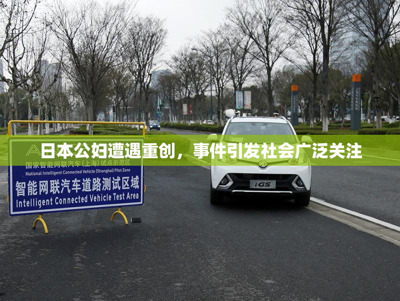 日本公妇遭遇重创，事件引发社会广泛关注