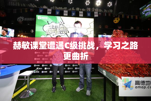 赫敏课堂遭遇C级挑战，学习之路更曲折