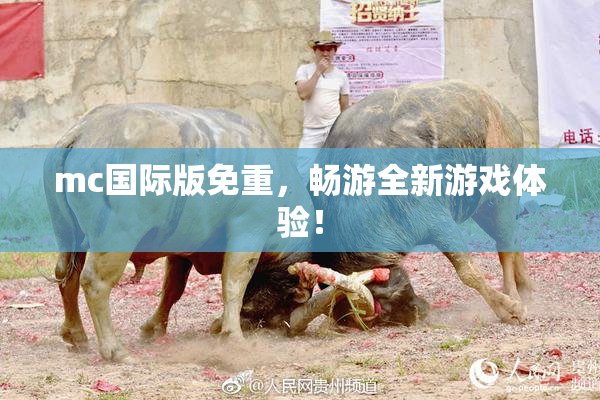 mc国际版免重，畅游全新游戏体验！