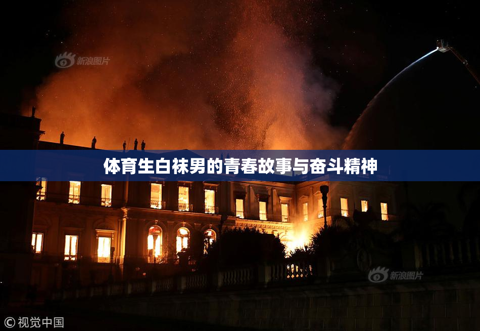 体育生白袜男的青春故事与奋斗精神