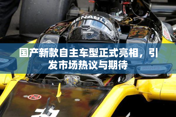 国产新款自主车型正式亮相，引发市场热议与期待