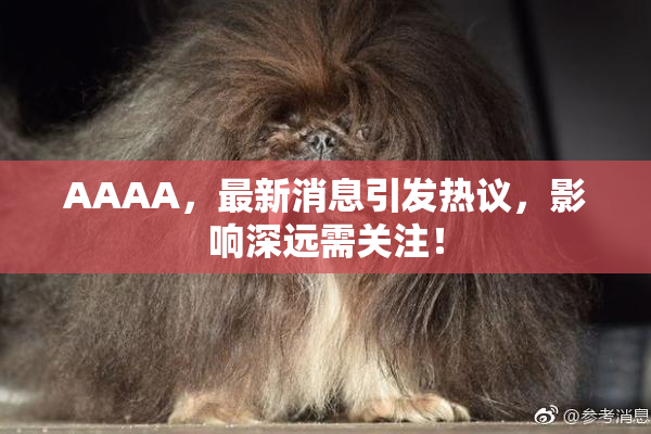 AAAA，最新消息引发热议，影响深远需关注！