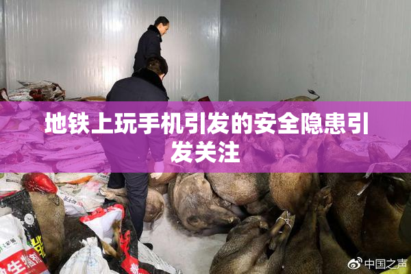 地铁上玩手机引发的安全隐患引发关注