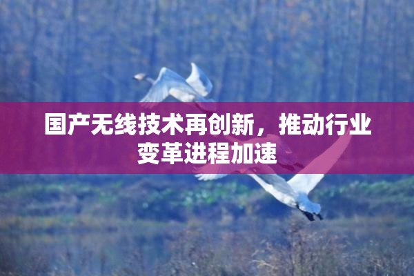 国产无线技术再创新，推动行业变革进程加速