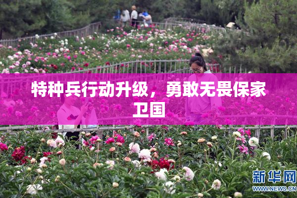 特种兵行动升级，勇敢无畏保家卫国