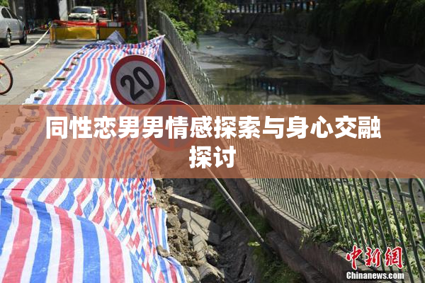 同性恋男男情感探索与身心交融探讨
